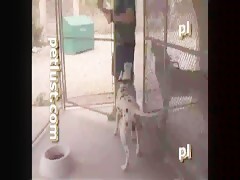 Thumb 12