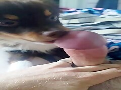 Thumb 12