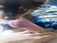 Thumb 14