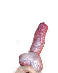 photo-thumb