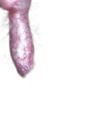 photo-thumb