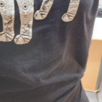 Iletmydoglickme的化身