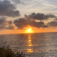 widityea Avatar