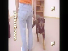 Frysco At The Office