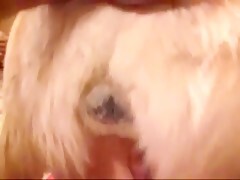 Thumb 20
