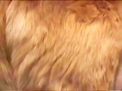Thumb 15