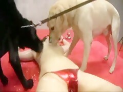 GloryQuest The Beast Fuck 47 MAD 82 Madoka Maeda