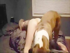 Wife Fucked By Bulldog