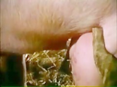 Thumb 8