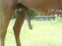 Thumb 14