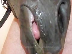 Thumb 12