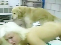 Book and Film International - Live Show