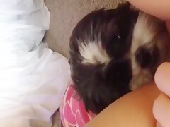 Busty Amateur Webcam