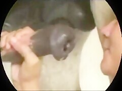 Thumb 16