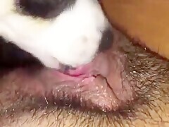 Thumb 3