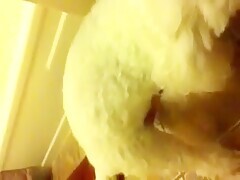 Thumb 11