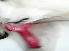 Thumb 7