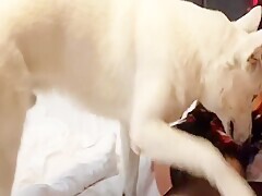 A blonde with a giant and delicious pussy