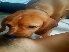 Hairy Young Pussy Masturbates