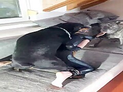 Dog Sex Masturbation In Latex