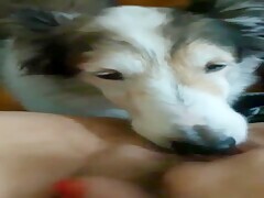 Thumb 8
