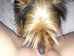 All I wish is wet pussy