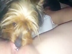 Thumb 11