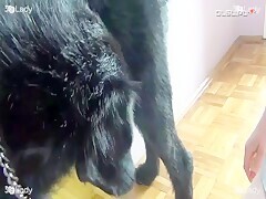 Lady Is Having Sex With Dog