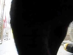 Thumb 14