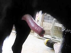 Thumb 6