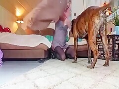 Milf Fucks With Dog Online