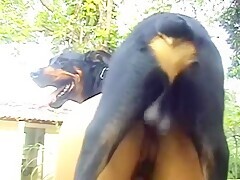 I Try Out Our New Dog