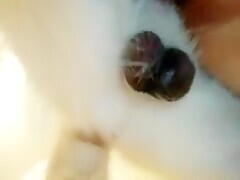 Thumb 11