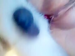 Thumb 8