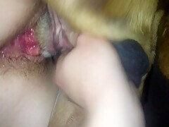 Open Season For Hardcore Fucking