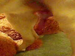 Dog with hanging cock