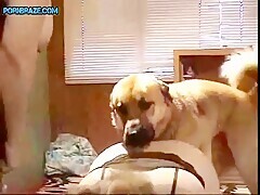 Let Me Ride Your Hard Dick Gently My Dog