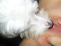 Adorable brunette is having casual sex with dog